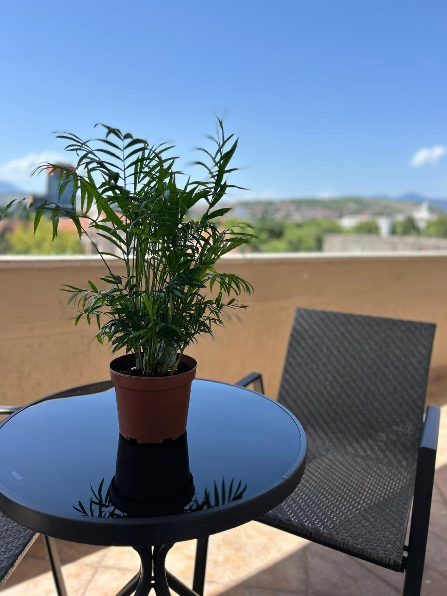 Hotel Bojatours Podgorica Eksteriør billede